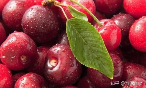 The Art of Crafting Exquisite Cherry-Infused Wines:Perfect Pairings and Timeless Recipes