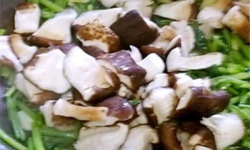 Mastering the Art of Stir-Fried Shiitake Mushrooms:A Guide to Culinary Excellence