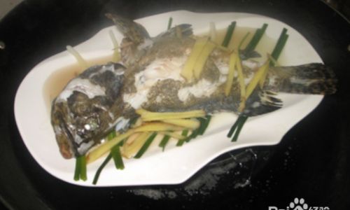 How to Steam Grouper Perfectly:A Step-by-Step Guide
