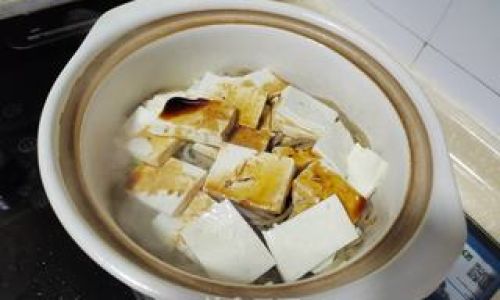 Mastering the Art of Making Clear-Stewed Tofu