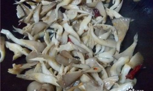 Mastering the Art of Cooking Delicious Shiitake Mushrooms