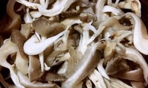 Mastering the Art of Cooking Delicious Shiitake Mushrooms