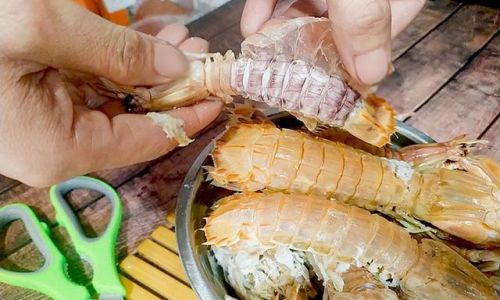 Mastering the Art of Cooking Delicious Mantis Shrimp