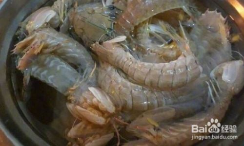 Mastering the Art of Cooking Delicious Mantis Shrimp