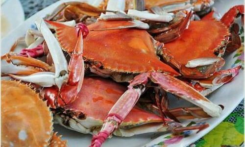 Mastering the Art of Cooking Delicious Crab