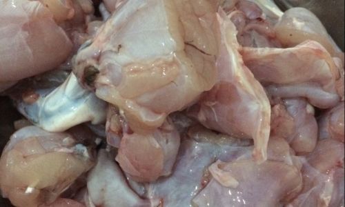 Mastering the Art of Cooking Delicious Bullfrog Dishes