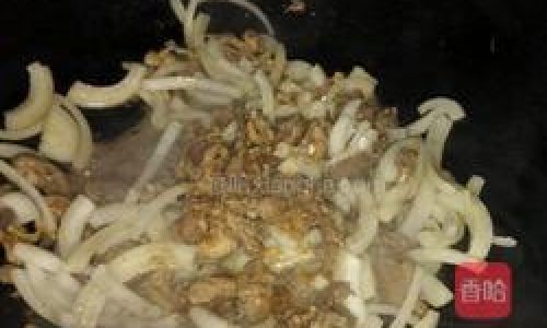 A Culinary Delight:The Art of Making Lamb and Onion Meatballs