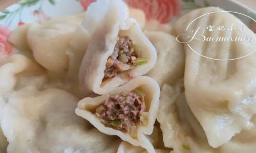 Discovering the Delights of Lamb-Filled Dumplings:What Makes Them Truly Tasty?