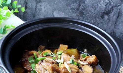 A Culinary Journey:Mastering the Art of Lamb Stew in a Clay Pot