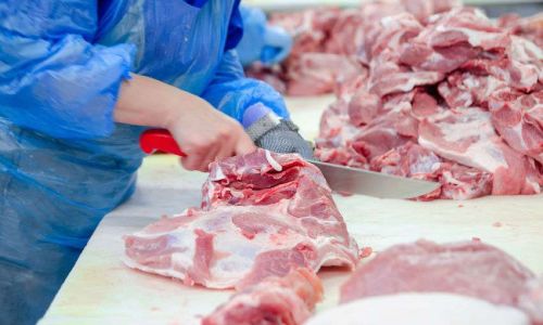 Identifying the Best Cut for Lamb Slices:A Culinary Exploration