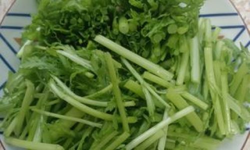 Mastering the Art of Stir-Fried Garland Chrysanthemum:A Step-by-Step Guide to Culinary Perfection