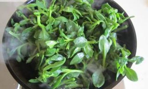 Mastering the Art of Stir-Fried Tien Chi Leaves:A Comprehensive Guide to Culinary Excellence