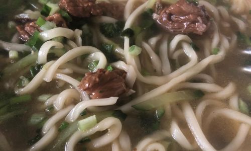 Mastering the Art of Making Noodles:A Comprehensive Guide