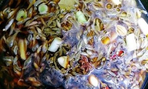 How to Cook Steamed Glass Fish:A Culinary Delight Unveiled