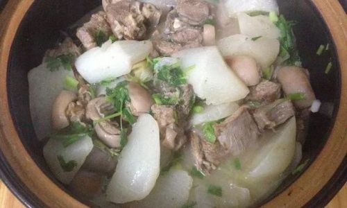Mastering the Art of Delicious Mutton Stew with Radish