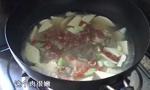 Mastering the Art of Delicious Lamb Stew with Tofu