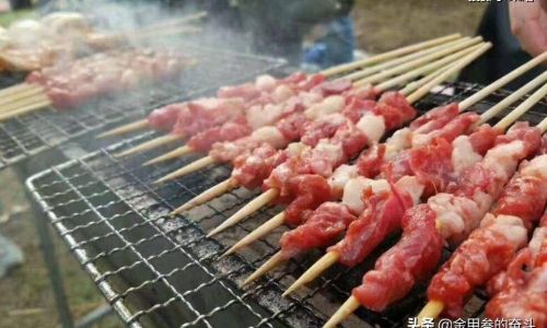 The Delightful Debate:Can Grilled Lamb Kebabs Be Delicious Without Marination?