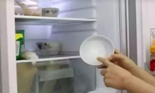 Can Goat Milk Powder be Stored in the Refrigerator?