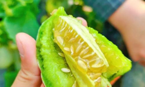 Can You Eat the Seeds of Horned Melon?An In-Depth Exploration