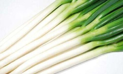 Distinguishing Between Scallion and Leek:An In-Depth Look at Their Differences