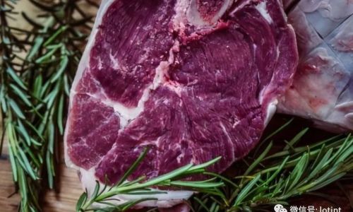 Understanding the Culinary Delight:Where Does the Sheep Shank Fit In?
