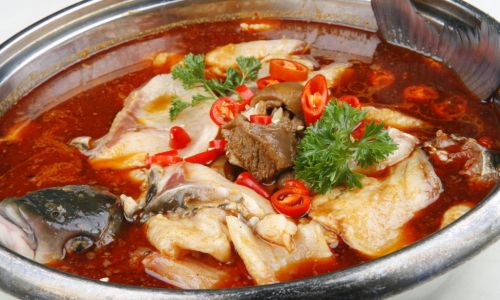 Exploring the Mysterious Sheep Pot Fish:What is it Really Called?