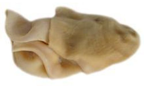 Can Sheeps Stomach Tripe)Be Frozen for Preservation?