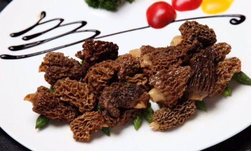 The Appropriate Serving Size of Morel Mushrooms:A Comprehensive Guide