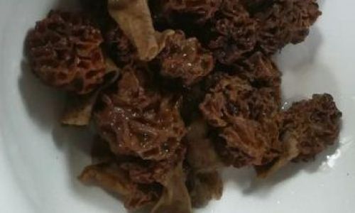 Cooking Morels:A Culinary Guide to Perfecting the Art of Preparing This Gourmet Mushroom
