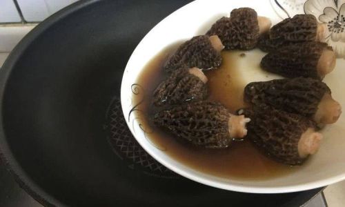 How to Clean Morel Mushrooms:A Comprehensive Guide