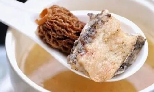 How to Clean Morel Mushrooms:A Comprehensive Guide