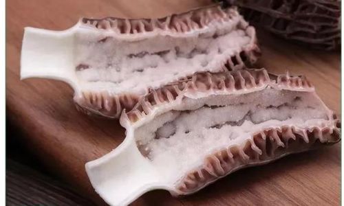 Can Morels Be Frozen for Preservation?An In-Depth Guide