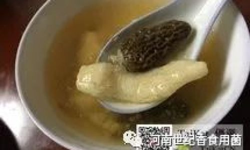 A Comprehensive Guide to Cooking Morel Mushrooms