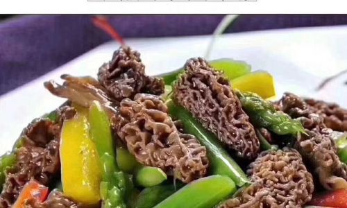 A Comprehensive Guide to Cooking Morel Mushrooms