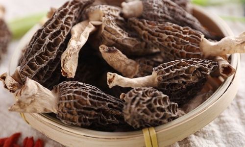 Optimal Storage Techniques for Morel Mushrooms Morchella Esculenta)