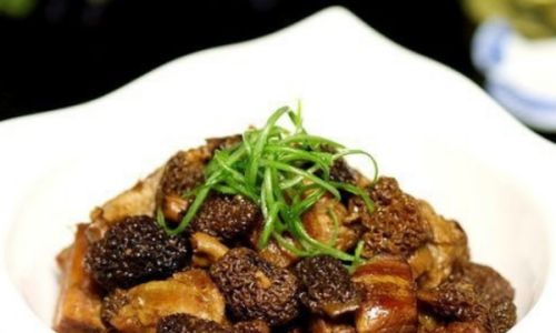 Optimal Storage Techniques for Morel Mushrooms Morchella Esculenta)