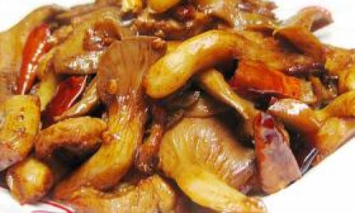 Mastering the Art of Cooking Oyster Mushrooms:A Guide to Delicious Home-Style Recipes