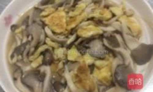 Mastering the Art of Cooking Oyster Mushrooms:A Guide to Delicious Home-Style Recipes