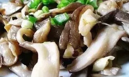 Mastering the Art of Cooking Oyster Mushrooms:A Guide to Delicious Home-Style Recipes