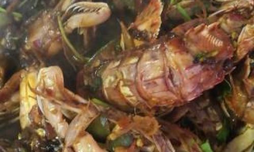 Mastering the Art of Cooking Fried Mantis Shrimp:A Step-by-Step Guide to Culinary Excellence