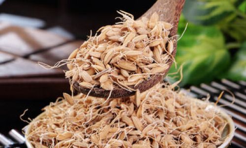 The Distinctive Worlds of Roasted Malt and Raw Malt:A Comparative Exploration