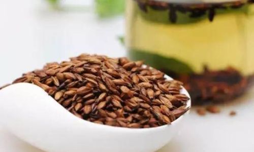 The Art of Crafting Roasted Malt:A Comprehensive Guide to Traditional and Modern Techniques