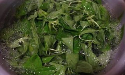 The Art of Stir-Frying Hemp Leaves:A Step-by-Step Guide to Perfecting This Unique Culinary Delight