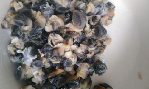 Mastering the Art of Stir-Fried Snail Meat:A Culinary Journey Through Flavors and Techniques