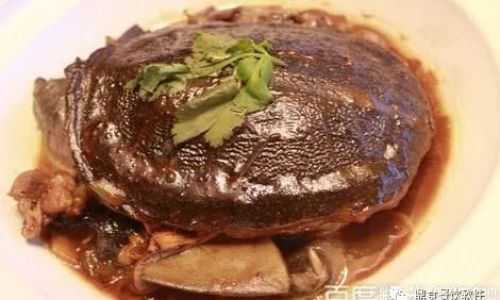 Mastering the Art of Stir-Fried Turtle:A Culinary Guide to an Exquisite Delicacy