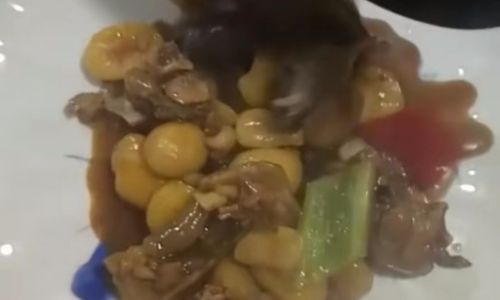 Mastering the Art of Stir-Fried Turtle:A Culinary Guide to an Exquisite Delicacy