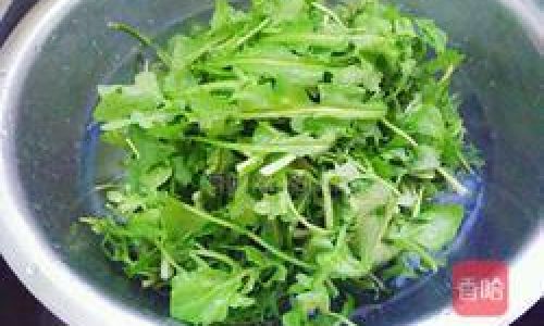 Mastering the Stir-Fry:A Comprehensive Guide to Cooking Shepherd’s Purse Capsella Bursa-Pastoris)