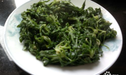 Mastering the Stir-Fry:A Comprehensive Guide to Cooking Shepherd’s Purse Capsella Bursa-Pastoris)