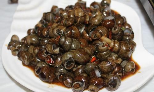Mastering the Art of Making Delicious Snail Dishes