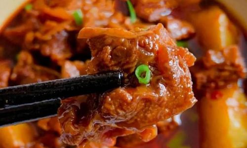 Mastering the Art of Making Radish Beef Stew